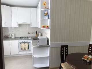 Апартаменты Центр міста Апартаменты Каменец-Подольский Апартаменты с 1 спальней-1